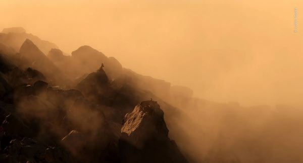 Великолепие дикой природы: объявлены победители престижного фотоконкурса - Экологические новости на ECOportal.su