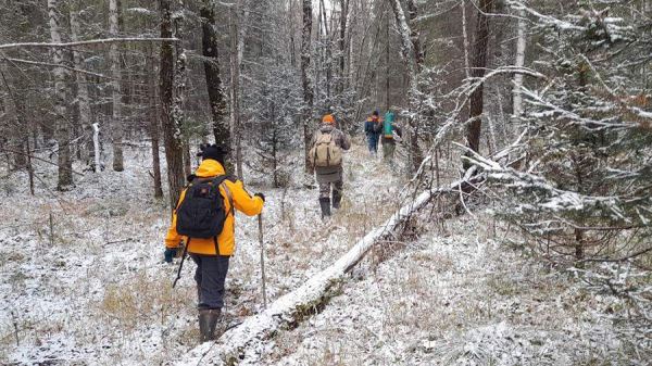 Волонтер выдвинул версию о побеге пропавшей в тайге семьи Усольцевых