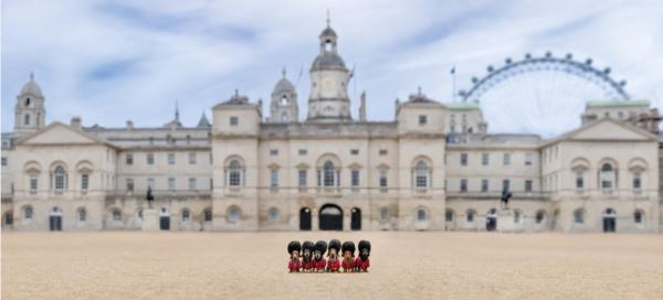 Лучшие кадры собачьей жизни: стали известны победители конкурса Dog Photography Awards 2025 - Экологические новости на ECOportal.su