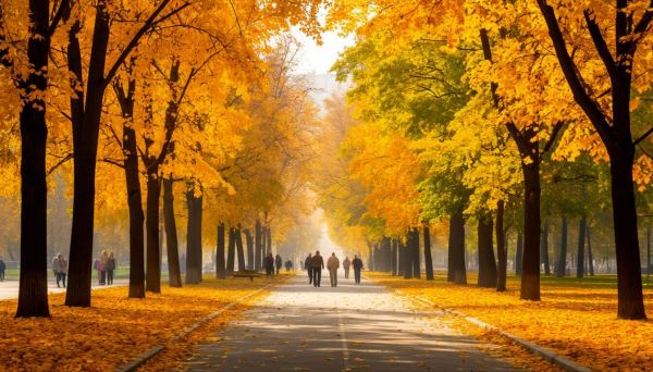 Осень в столице станет теплее на 7 градусов, предупреждают климатологи — Экологические новости на ECOportal.su