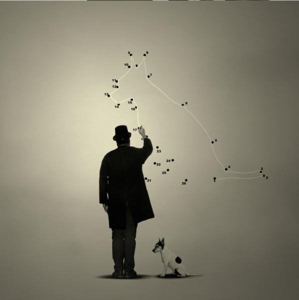 Лучшие кадры собачьей жизни: стали известны победители конкурса Dog Photography Awards 2025 - Экологические новости на ECOportal.su