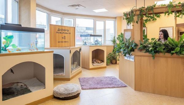 «Живая природа»: Расширение списка опасных пород собак и путешествия с питомцами — Экологические новости на ECOportal.su