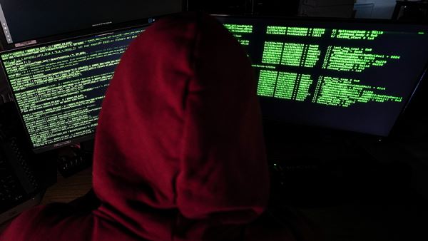 В Госдуме предупредили о новой уловке мошенников для кражи личных данных