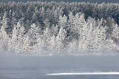 Появились новые детали в расследовании пропавшей месяц назад в тайге российской семьи