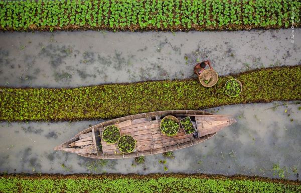 Шикарные снимков финалистов конкурса фотографий дикой природы WPOTY 2025 - Экологические новости на ECOportal.su