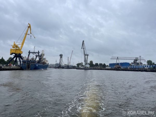 Контейнеровоз FESCO доставил оборудование из Индии в Калининград