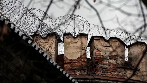 Глава РФПИ Дмитриев заявил о проработке РФ и США планов по обмену заключенными