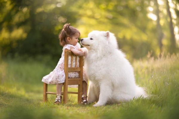 Лучшие кадры собачьей жизни: стали известны победители конкурса Dog Photography Awards 2025 - Экологические новости на ECOportal.su