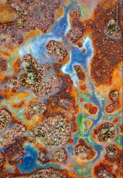 Великолепие дикой природы: объявлены победители престижного фотоконкурса - Экологические новости на ECOportal.su