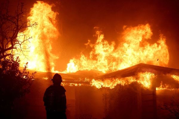 Лесные пожары побили все печальные рекорды — Экологические новости на ECOportal.su