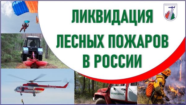О лесопожарной обстановке в России на 24.10.2025 — Экологические новости на ECOportal.su