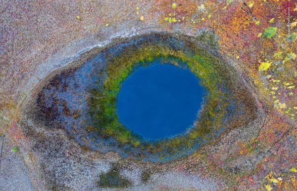 Великолепие дикой природы: объявлены победители престижного фотоконкурса - Экологические новости на ECOportal.su