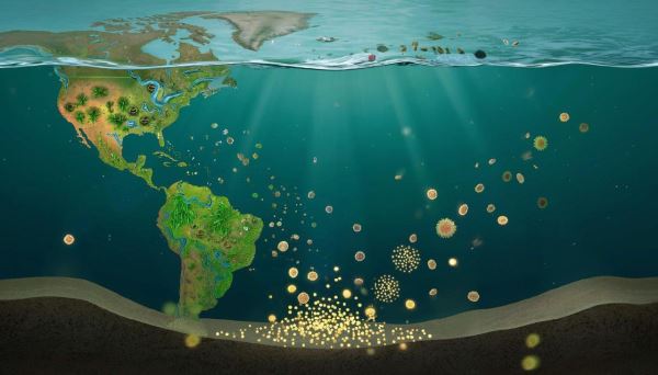 Геоинженерия планеты: как охлаждение Земли может привести к ледниковому периоду — Экологические новости на ECOportal.su